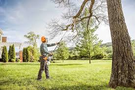 Best Tree Mulching  in Wallace, ID